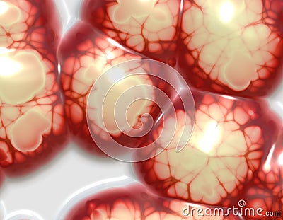 Gross Human Brains Stock Photo