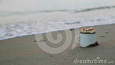 Grosse tasse blanche en métal, remplie de coquillages sur le rivage sablonneux, contre des pattes mâles floues qui courent le lon banque de vidéos Grosse tasse blanche en métal, remplie de coquillages sur le rivage sablonneux, contre des pattes mâles floues qui courent le lon banque de vidéos