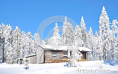 Grosser Arber,bavarian Forest,Germany Stock Photo