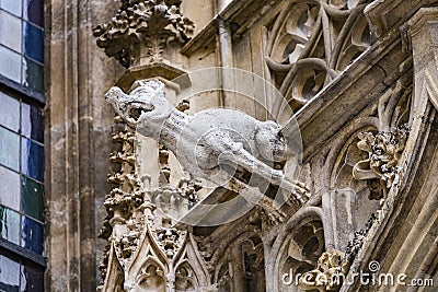 Grotesque gargoyle water spout sculpture on facade of gothic medieval St. Stephen`s Cathedral or Stephansdom in Vienna, Austria Stock Photo