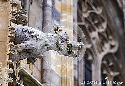 Grotesque gargoyle water spout sculpture on facade of gothic medieval St. Stephen`s Cathedral or Stephansdom in Vienna, Austria Stock Photo