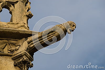 Grotesque, Notre Dame Stock Photo