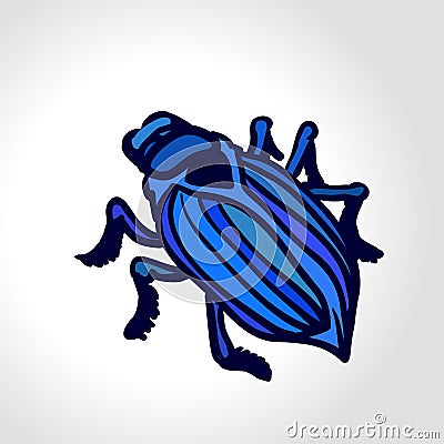 Ground beetle. Colorful vector drawing of big blue beetle. Vector Illustration