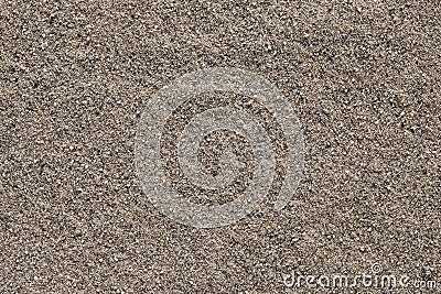 Ground black pepper (Piper nigrum) background. Stock Photo