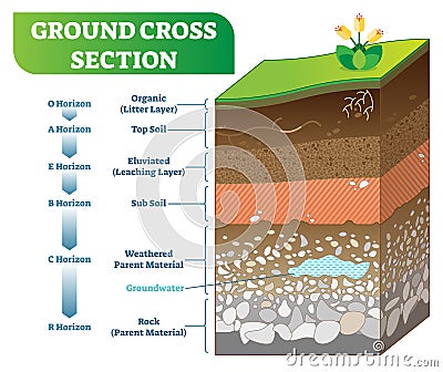 Ground Cross Section vector illustration with organic, topsoil, subsoil and other horizon levels. Vector Illustration