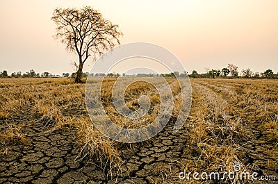 Ground drought Stock Photo