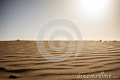 Ground level view of desert sand at sunset with sun hitting hard from above giving a sense warm and hot wth nobody Stock Photo