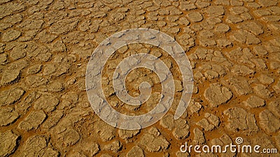 Ground pattern at Tamezguida, Tassili nAjjer national park, Algeria Stock Photo