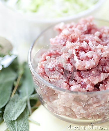 Ground Pork with ingredients Stock Photo