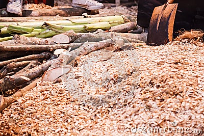 Ground Shredded Chipped Wood chips used as biomass solid fuel, raw material for producing wood pulp, organic mulch in gardening, Stock Photo