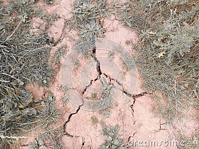 Ground which is drying up and cracking due to lack of rain Stock Photo