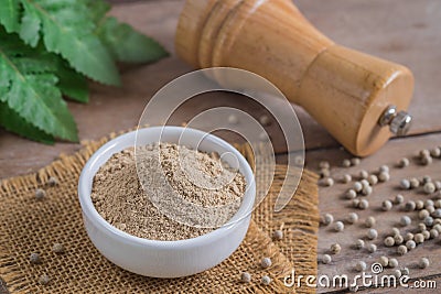 Ground white pepper in bowl and pepper shaker Stock Photo