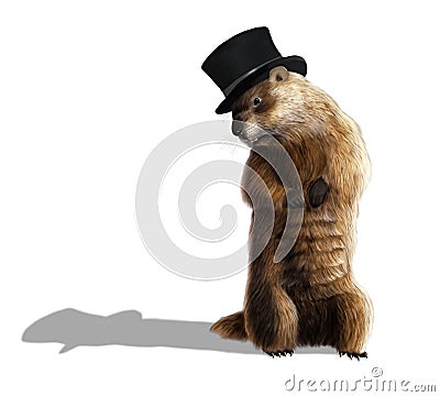 Groundhog Cartoon Illustration