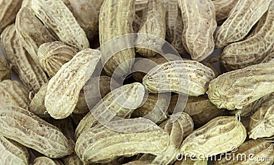 Groundnut Stock Photo