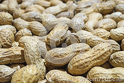 Groundnut Stock Photo