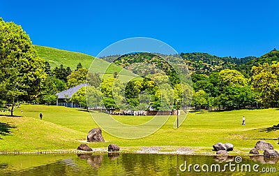 Grounds of Nara Park in Kansai Region - Japan Stock Photo