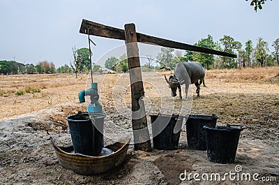 Groundwater wood pumping Editorial Stock Photo