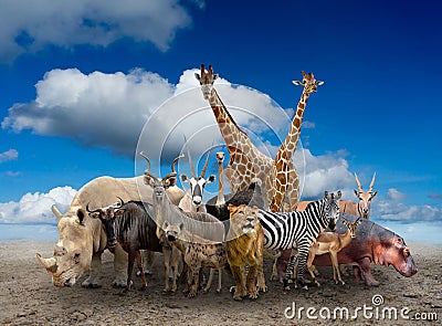 Group of africa animals Stock Photo