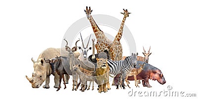 Group of africa animals Stock Photo