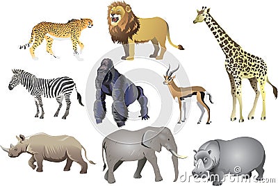 Group Of African Animal Wild Life , Cheetah, Lion, Giraffe, Zebra, Gorilla, Antelope, Rhino, Elephant, Hippopotamus - Vector Illus Vector Illustration