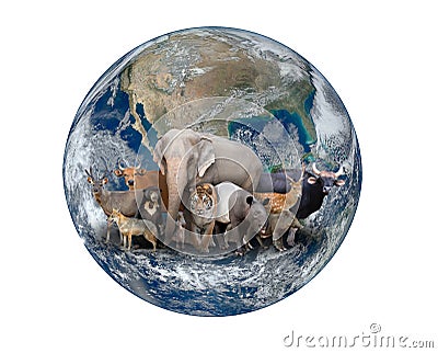 Group of asia animal with planet earth Stock Photo