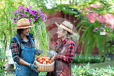 Group Asia women farmer and friend holding a basket of vegetables organic for trading in the vineyard outdoors Stock Photo