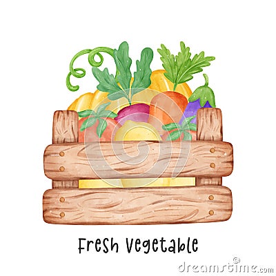 group of assorted fresh colorful vegetable watercolour in wooden garden container vector cartoon hand painted illustration Vector Illustration