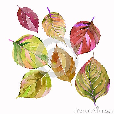 Group of the autumn leaves. Lovely cute wonderful graphic bright floral herbal autumn orange yellow leaves pattern watercolor Stock Photo