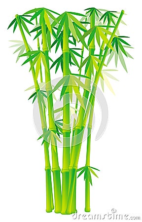 Group of bamboo stalks Vector Illustration