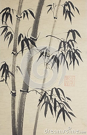 Group of bamboo trees Stock Photo