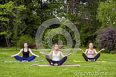 Group of beautiful healthy slimy young women doing exersices on the green grass in the park, siting in lotus poses and meditation Stock Photo