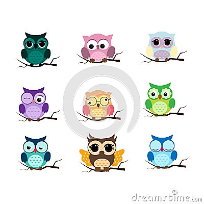 Group of birds. Owls night birds with big eyes. Colorful illustration Vector Illustration