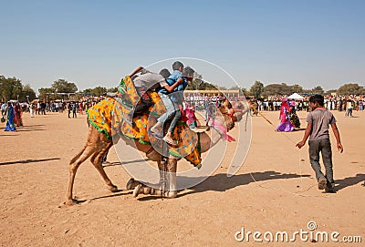 Group of boys trying to come down from the camel Editorial Stock Photo