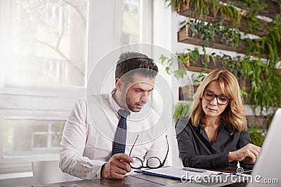 Group of business people working together in the office Stock Photo