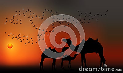 A group of camel in sunset at desert , father, mother and son and birds making heart in the sky. Vector Illustration