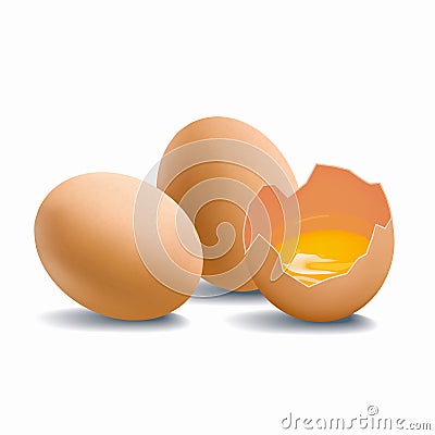 Group of chicken brown eggs on white background. Vector Illustration