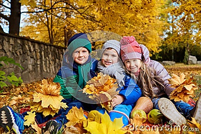 A group of children play in the park yellow autumn. Little boys Stock Photo