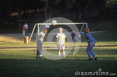 Group of children playing soccer in park Editorial Stock Photo