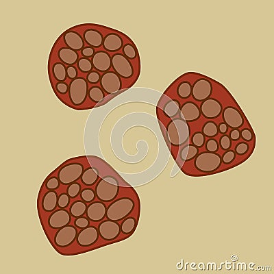 Group of Chlamydiales bacterias on light background, vector illustration Vector Illustration