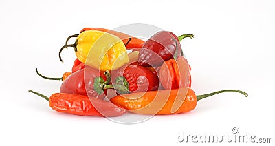 Group of colorful chili hot peppers Stock Photo