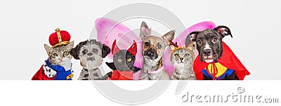 Cute Pets in Halloween Costumes Over Web Banner Stock Photo