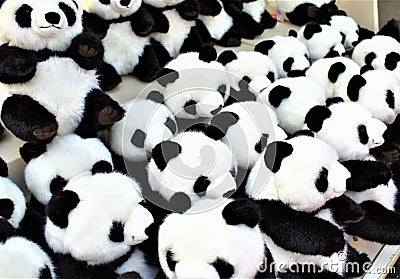 A group of cute soft cuddly toy panda bear Stock Photo