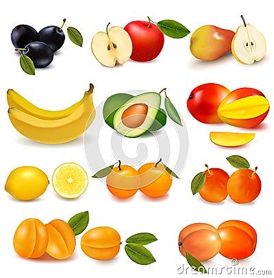 Group with different sorts of fruit. Vector Illustration
