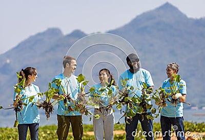 Group of diversity volunteer people joining together in river clean up project by collecting the invasive water hyacinth plant Stock Photo