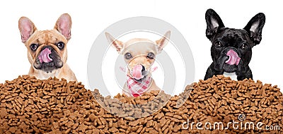 Group of dogs behind mound food Stock Photo