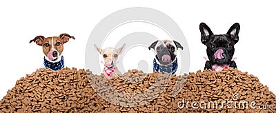 Group of dogs behind mound food Stock Photo