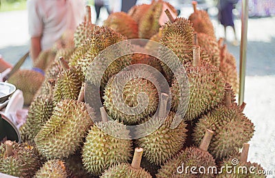 Group of durian at thai style market outdoor,king of fruite,traditional thai fruit Stock Photo