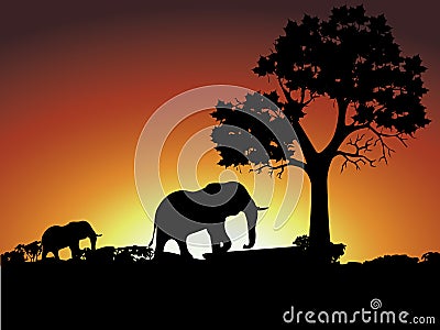 Group of elephant in africa Stock Photo