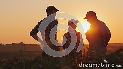 A group of farmers are discussing in the field, using a tablet. Two men and one woman. Team work in agribusiness Stock Photo