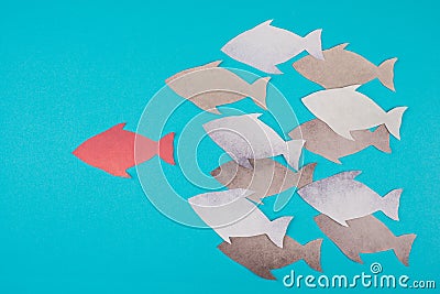 Group of fish is following the leader in red color, blue backdrop Stock Photo